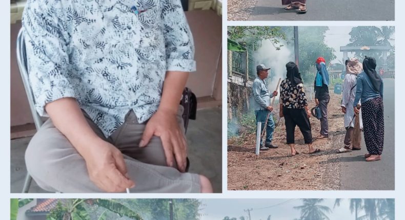 foto slider headline