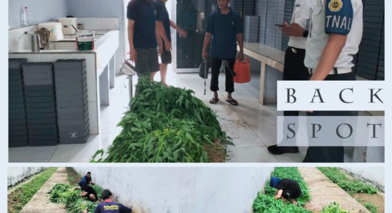 foto slider headline