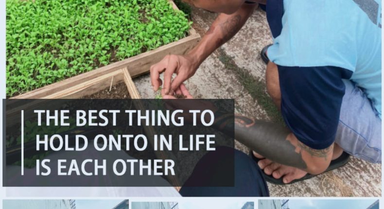 foto slider headline